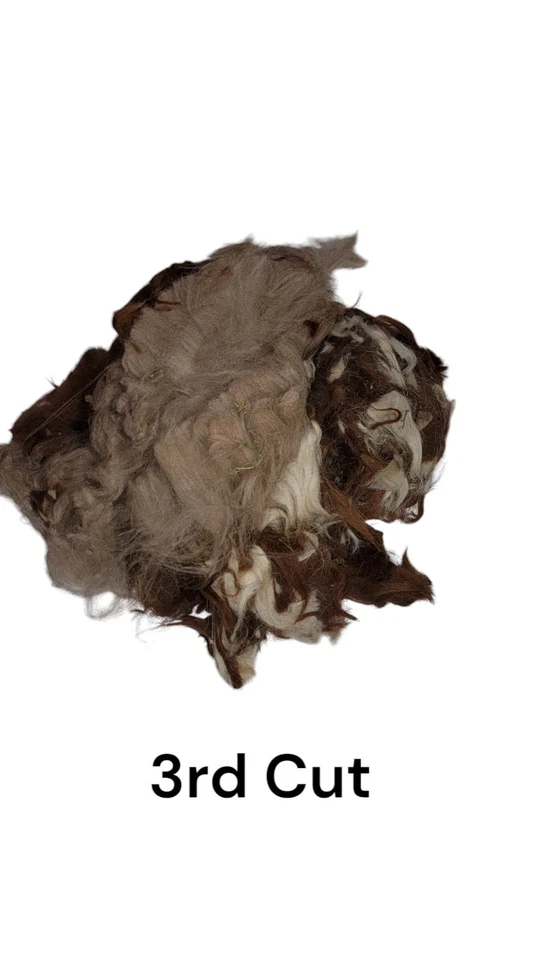 Fibra de alpaca marrón medio crudo 1 libra natural y sin lavar (3er corte) Foto 1 de 4