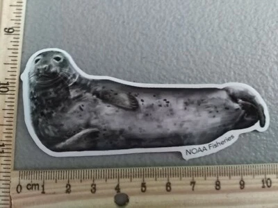 РАСПРОДАЖА Новая Милая Серая Печать Морские Млекопитающие Домашние Животные Веганские Животные Наклейка Наклейка Автомобиль Грузовик - Изображение 1 из 4