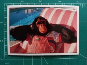 1989 Panini Smash Hits MUSIC sticker CARD BUBBLES THE CHIMP MICHAEL JACKSON PET