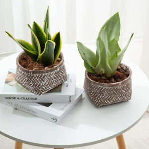 Brown Concrete Indoor Plant Pot with Rattan Design, Succulent Cactus Container