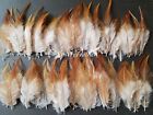 200 Pcs natural hackle feathers