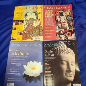 Shambhala Sun Magazine YOUR CHOICE Buddhism Meditation Peace back issues-LN - Picture 1 of 4