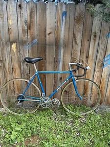 Vintage Classic 80’s Bridgestone Japan Rare Original Condition Bicycle Road Bike - Picture 1 of 14