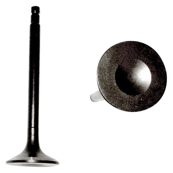 For Nissan Altima 2000-2001 DNJ Engine Components Exhaust Valve Foto 1 de 1