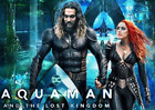 Aquaman and the Lost Kingdom 2023 New Release Slip cover Free Shipping