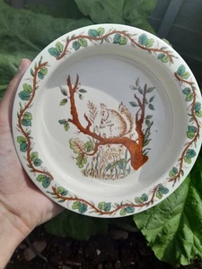 Tiffany & Co. Squirrel Child's Bowl Johnson Brothers Made In England - Picture 1 of 3