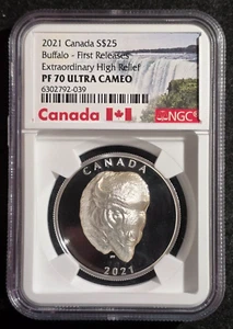 2021 Canada Buffalo Extraordinary High Relief 1 oz Silver PF $25 NGC PF70 UCAM - Picture 1 of 3
