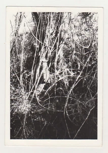 Affectionate Handsome Young Man Hangs on Tree Unusual Abstract Snapshot Photo - Picture 1 of 7