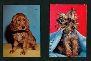 Dos PK Perros Lote 3 (EB12) - Imagen 1 de 1