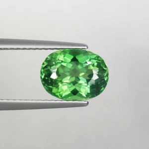 2.90 ct MIND BLOWING DEEP FOREST GREEN NATURAL APATITE Oval 4675 SQ - Picture 1 of 2