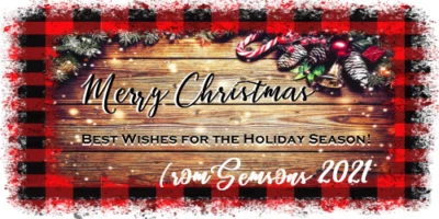 30 Mini Etiquetas para Botellas de Vino/Agua Navidad Vacaciones Diseño de Madera a Cuadros Foto 1 de 4