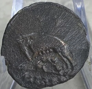 Moneda Romana Antigua SheWolf 330AD Rómulo Remo Roma Conmemorativa Genuina - Imagen 1 de 11