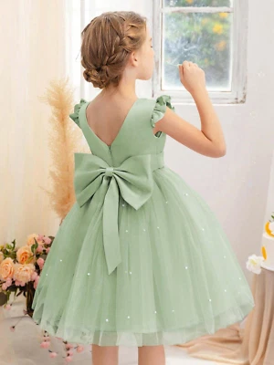 Vestidos Verde Para Niña de Princesas Fiesta Quinces Bodas Cumpleaños de Encaje - Изображение 1 из 4