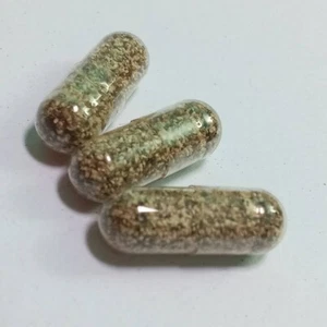 Moina Macrocopa eggs cysts Live Fish Food guppy protein water natural sour 3 Cap - Picture 1 of 8