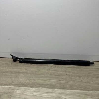 Amortiguador de puntal puerta levadiza para maletero BMW X5 E70 2007-2013 - 51247177283 Foto 1 de 4