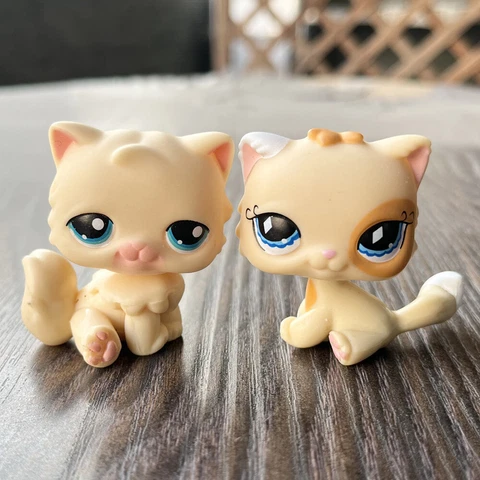 Littlest pet shop toys LPS SPHYNX #521 kitty CHAT PERSAN standing Short Hair Cat Cover