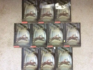 The Tiger Rising by Kate DiCamillo Class Set of 10 PB Guided Reading Lot - Picture 1 of 3