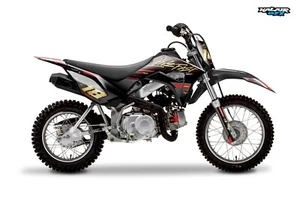 Kit Gráficos para HONDA CRF110F CRF110 (2019-2024) Rebelde - DORADO - Imagen 1 de 7
