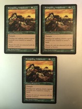 (3) Stampeding Wildebeests Visions Magic the Gathering MTG Uncommon Green OOP