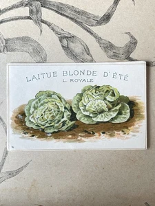 Etiquette Chromo Légume ancien Vilmorin laitue blonde Horticulture Catalogue - Picture 1 of 1