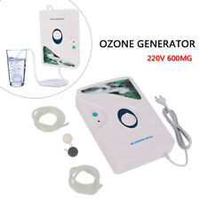 50HZ Home Office Ozone Generator 600mg/h Air Purifier Removes Odors EU Plug 220V