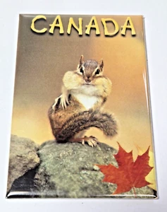 Vintage Stamped The Post Card Factory Canada Chipmunk Fridge Magnet Collectible - Bild 1 von 4