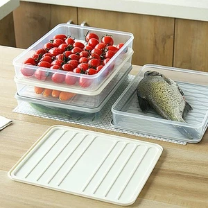 Fridge Dumpling Storage Box Plastic Sealed Container with Lid White Small Size - Picture 1 of 12