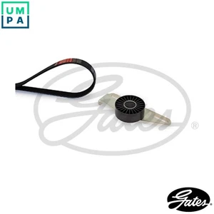 VRIBBED BELT SET K055PK1113 FOR RENAULT LODGY LOGAN/II/STEPWAY/EXPRESS SYMBOL - Picture 1 of 9