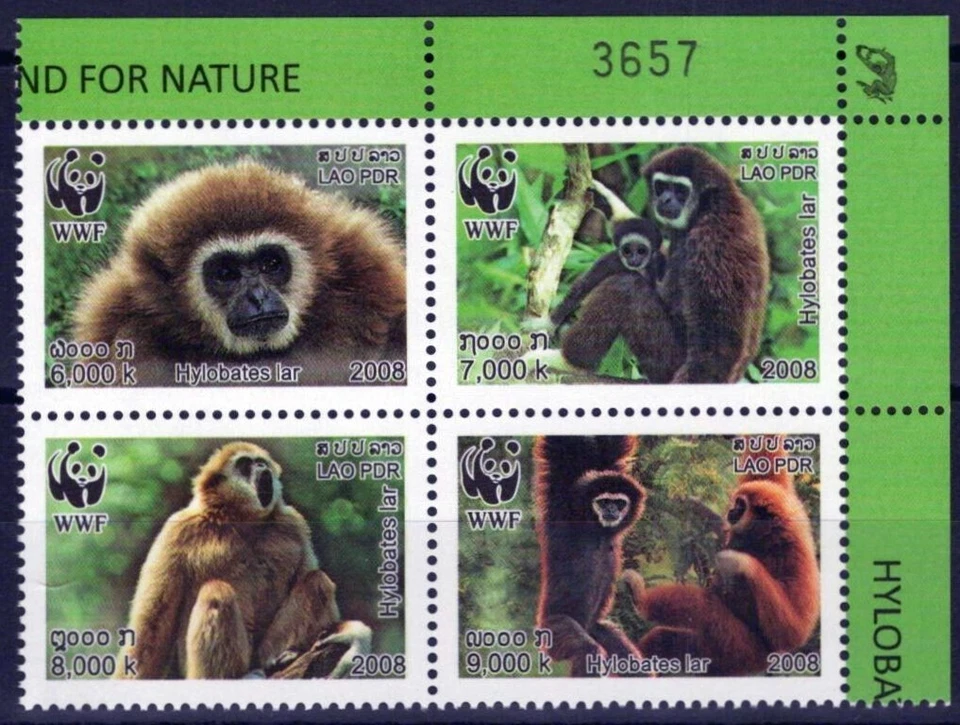 Laos 1719-1722 MNH Fondo Mundial Naturaleza WWF Monos ZAYIX Foto 1 de 1