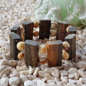 Exotic Aetoxylon Agarwood Bracelet Nice Smell Gaharu Buaya Genuine Sea Coral #01 - Imagen 1 de 4