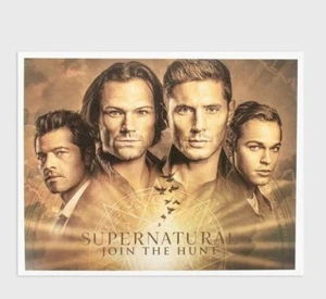 Mini póster impreso artístico NiP Culturefly primavera 2020 sobrenatural agotado LE - Imagen 1 de 1