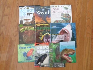 Lot of (10) Educational & Animal Books - Dinosaurs - Frogs - Sharks - Reptiles - Foto 1 di 1