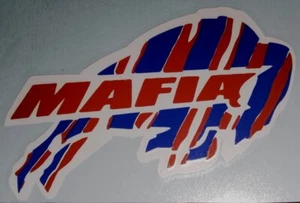 Calcomanía adhesiva de diseño de carga Buffalo Football personalizada con diseño de cebra 3,5 x 5 pulgadas, ¡Allen! - Imagen 1 de 5