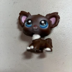 Authentic 1st Generation Littlest Pet Shop 2005 Chihuahua v007 - Bild 1 von 4