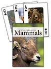 Cartes à jouer pour les mammifères des montagnes Rocheuses par Stan Tekiela (anglais) cartes Boo