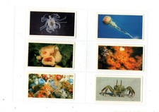 THE LIVING OCEAN  FULL ALBUM +FULL SET 30  SLEEVED CARDS GRANDEE 1985 EX COND