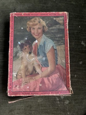 Vintage Genesee Puzzle 250 Piece Lady And Dog Scene - Image 1 of 4