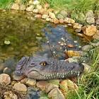 Realistic Floating Crocodile Head Alligator Head for Patio Garden Decoration