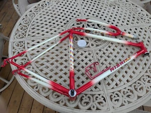 Nishiki 52 cm traithlon series modulus road bike frame - Picture 1 of 2