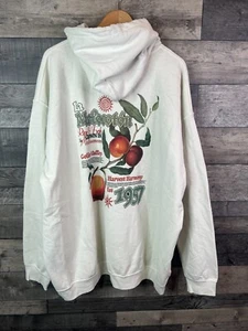 Urban Outfitters Hoodie Hoody Size XXL Ivory Fruit Botanical Graphic Back Print - Picture 1 of 7