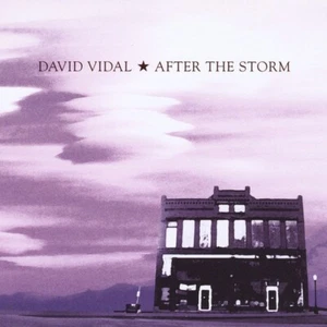 CD 2010, David Vidal - After The Storm - Sehr gut! - Bild 1 von 3