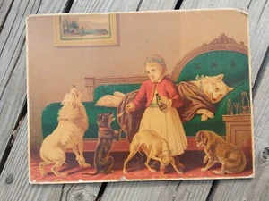 Antique 1873 Chromolithograph "Throw Physic 2 the Dogs Print Animal Hospital Art - Picture 1 of 4