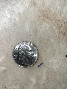 Rare Error Quarter… Reads “IN COD WE TRUST”… Unfinished Reverse - Picture 1 of 2