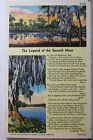 Scenic Legend of the Spanish Moss Postcard Old Vintage Card View Standard Postal