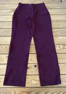 Susan graver NWOT Women’s Ponte Straight Leg Pull On Pants Size XS Wine S7 - Picture 1 of 9
