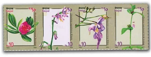Nepal 2024 einheimische Pflanzen Naturbriefmarken 4 V postfrisch - Bild 1 von 2