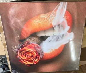 PoGoXiPoYo modernes Mädchen rauchendes Gemälde orange Lippen Wandbild hängen 24x24 - Bild 1 von 4