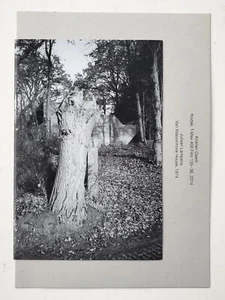 Rare Belgian Book Photos of Juliaan Lampens Van Wassenhove House - Lim Ed 200 - Bild 1 von 8