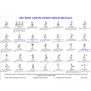 BRITISH MILITARY POSTER A4 A3 HAND SIGNALS POSTER SECTION & PLATOON FIELDCRAFT  - Picture 1 of 1