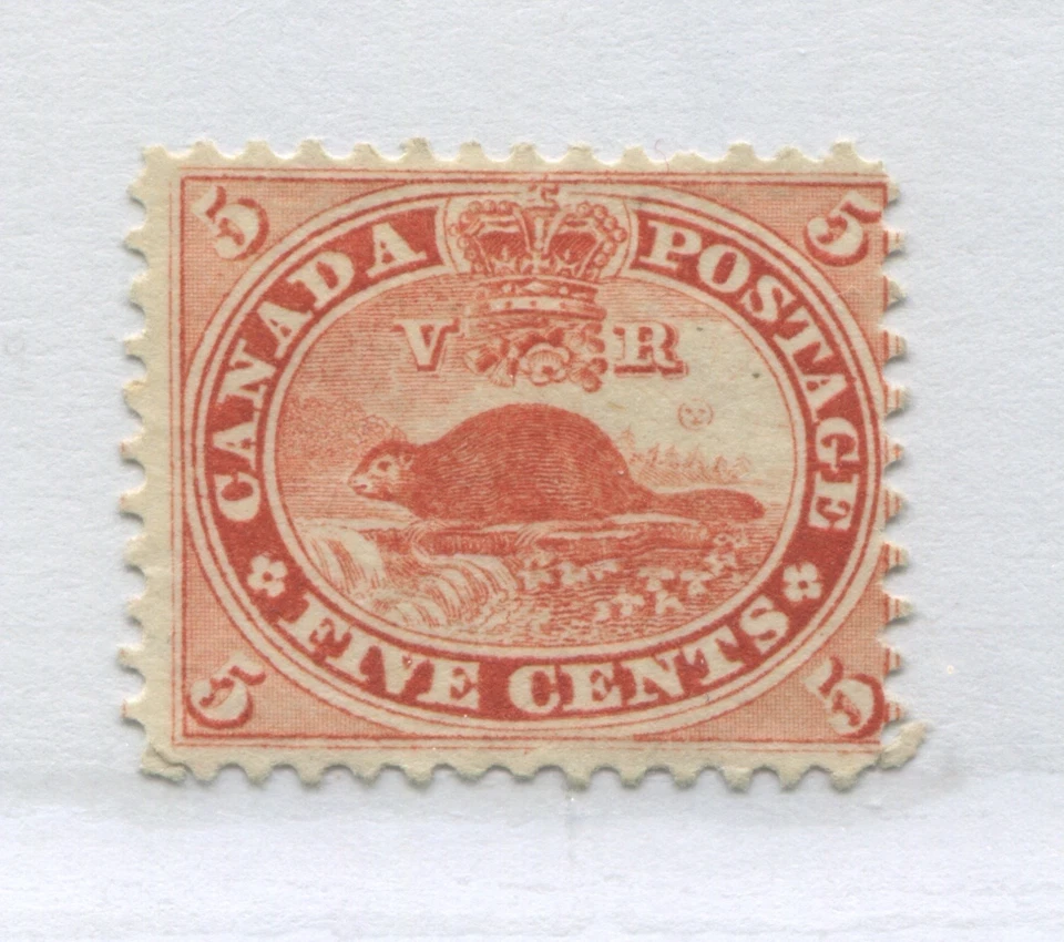 1859 QV 5 cent Beaver mint no gum - Image 1 of 1